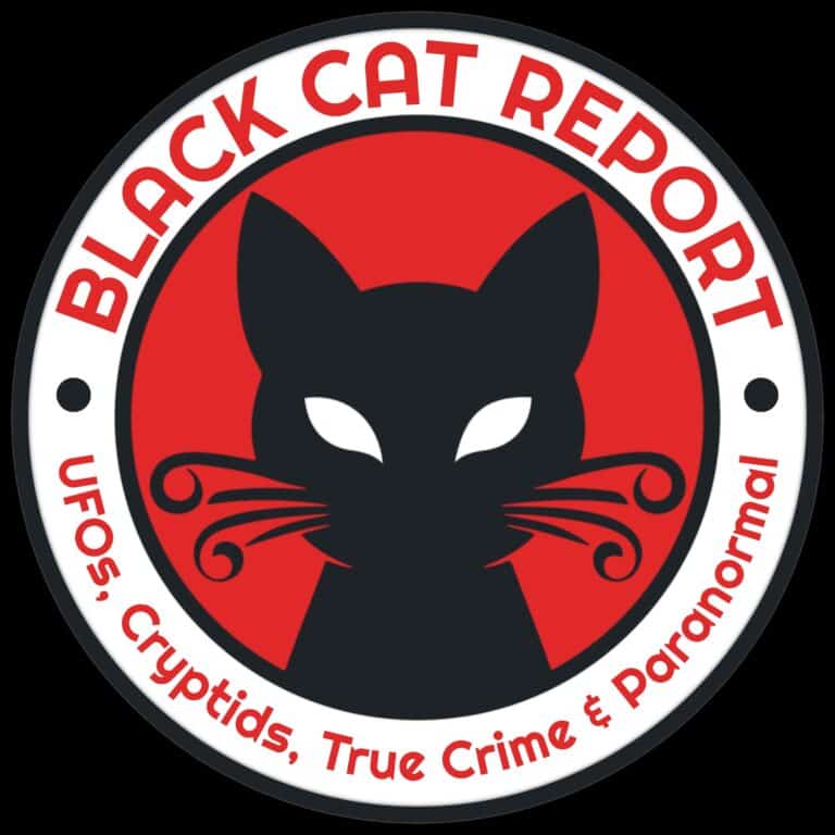 black cat report logo